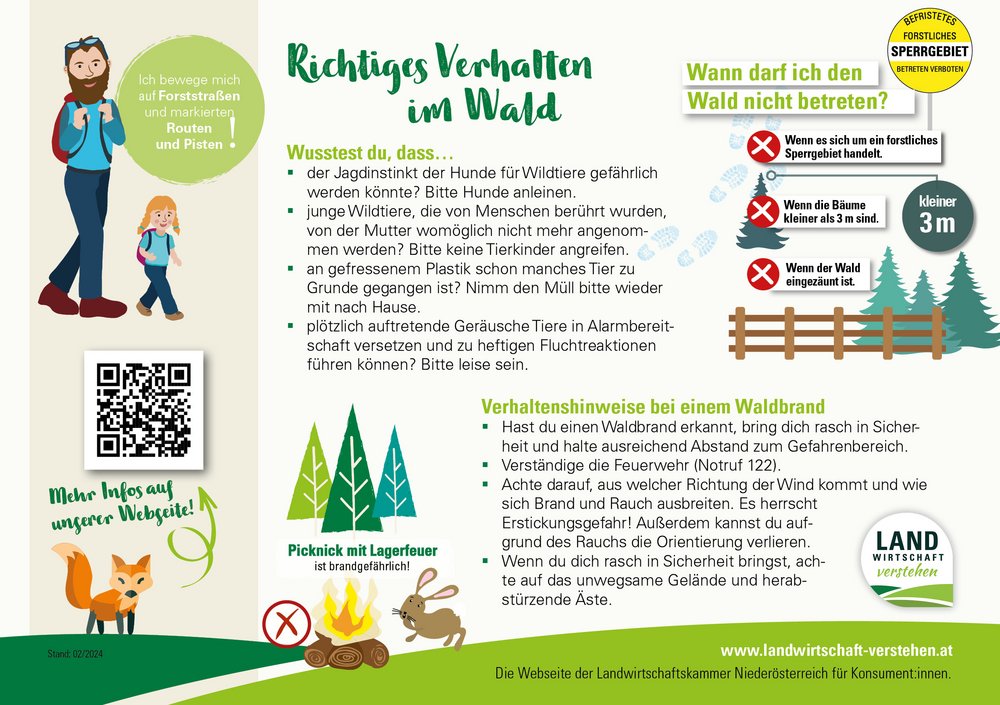 Druckvorlage Wald.jpg