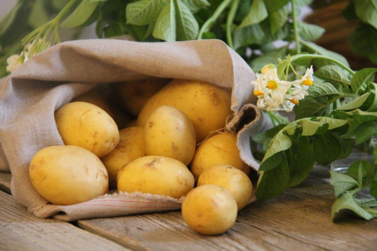 Kartoffeln sind die Lieblingsbeilage in Österreich