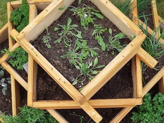 Erdäpfelpyramide von oben mit Pflanzen