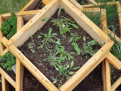 Erdäpfelpyramide von oben mit Pflanzen