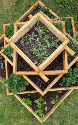 Erdäpfelpyramide von oben mit Pflanzen