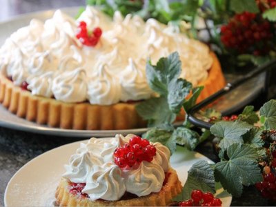 Kuchen mit Ribisel Johannisbeere und Eischneehaube