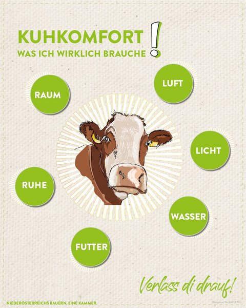Infografik von Verlass di drauf der Landwirtschaftskammer Niederösterreich zum Kuhkomfort
