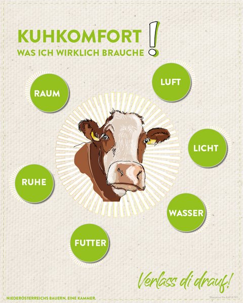 Infografik von Verlass di drauf der Landwirtschaftskammer Niederösterreich zum Kuhkomfort