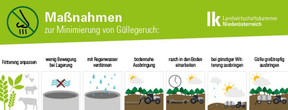 Güllegeruch minimieren Infografik