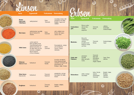 Zweispaltige Darstellung von Linsen und Erbsen mit Tellerlinsen, Rote Linsen, Gelbe Linsen, Beluga Linsen, Grüne Linsen, Berglinsen, Zuckererbsen, Markerbsen, Schalerbsen und Kichererbsen.