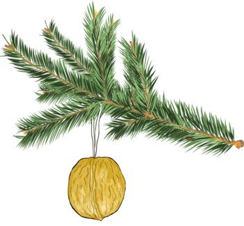 Goldene Walnuss am Tannenzweig