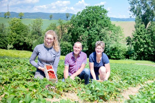 Schaf- und Erdbeerbauern Melanie, Florian und Waltraud Sterkl im Erdbeerfeld mit voller Erdbeerkiste