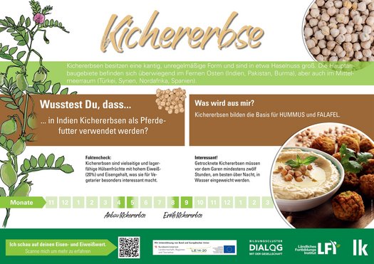 Kichererbse.jpg