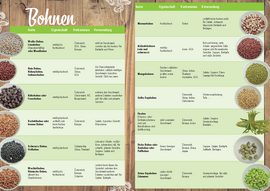 Plakat mit grafischer Darstellung von Bohnen und deren Eigenschaften, Vorkommen und Verwendung.