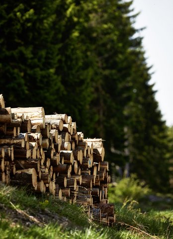 Holzstapfel auf Gailberger Höhe ©BMLRT/Alexander Haiden