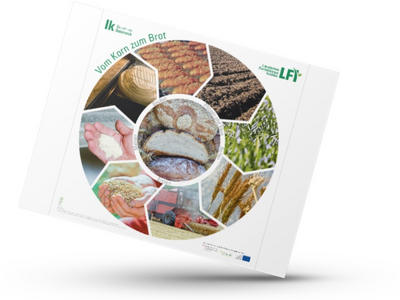 Mockup von dem Plakat mit rundem Kreis, wo die Schritte vom Korn zum Brot abgebildet sind.