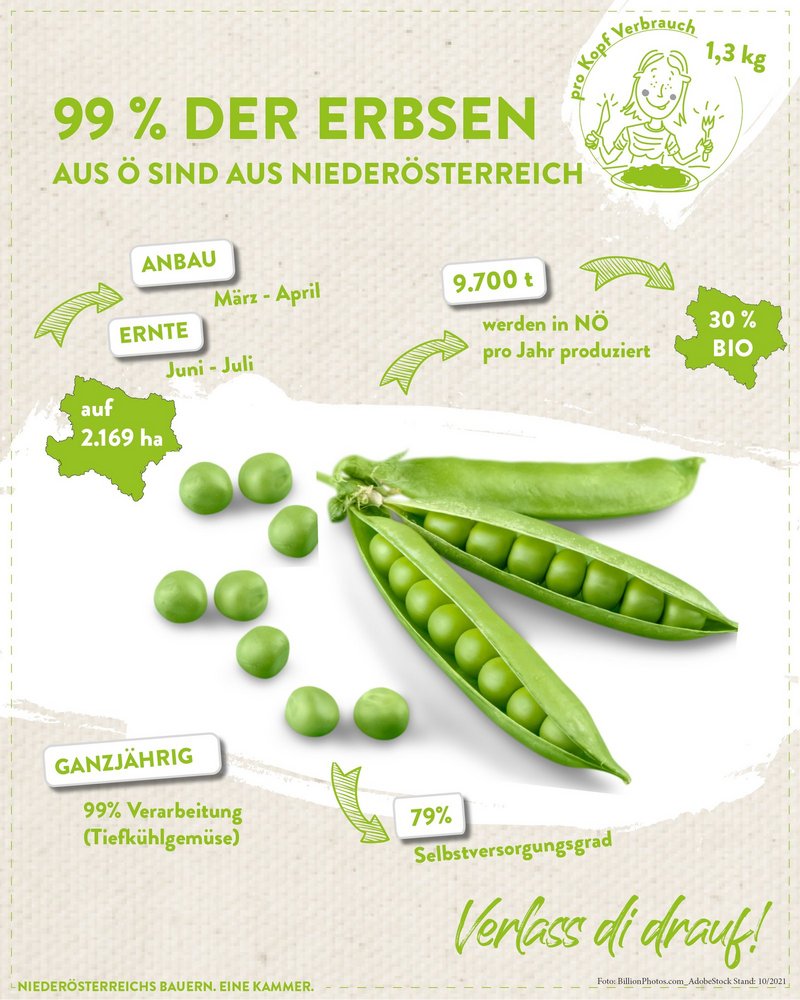 Infografik der Landwirtschaftskammer Niederösterreich zu Erbsenreichtum in Niederösterreich