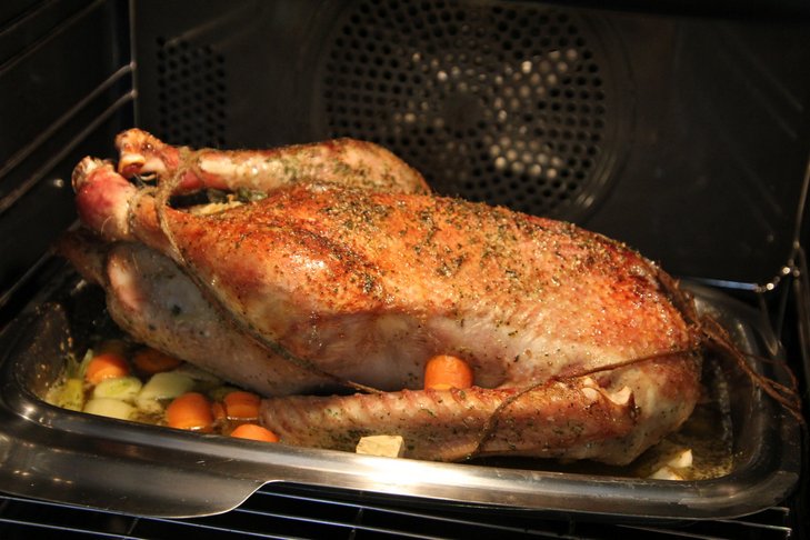 Gans im Rohr