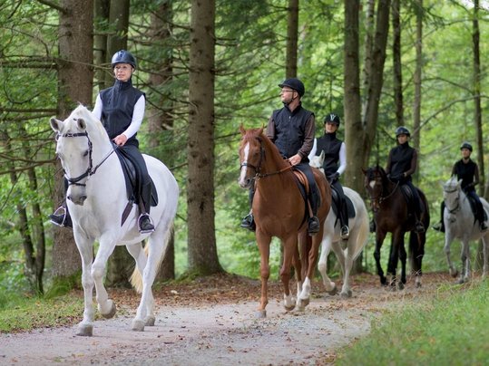Austritt bei Urlaub am Bauernhof