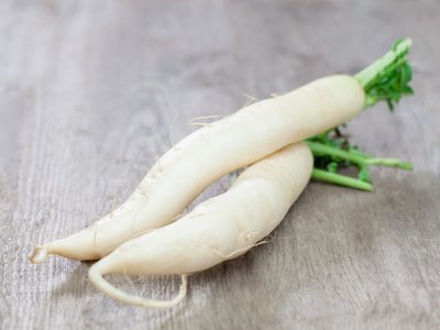 Zwei weiße Wurzeln Rettich 