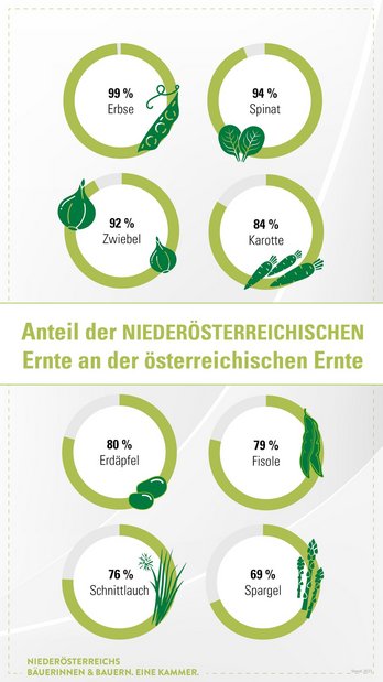 Anteil NÖ Gemüseernte an österreichischer Ernte