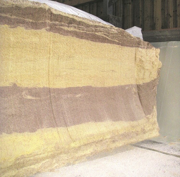 Eine Sandwichsilage (Silage ist ein konserviertes Futter) aus den Schichten Sorghum und Mais. ©Paula Pöchlauer-Kozel/LK Niederösterreich