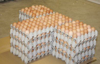 Eierschachteln ©Paula Pöchlauer-Kozel/LK Niederösterreich