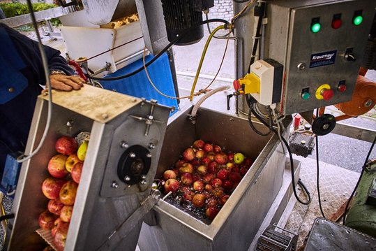 In der Waschanlage werden die Äpfel vor dem Pressen gesäubert.