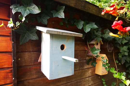 Nistkasten unter Dachvorsprung