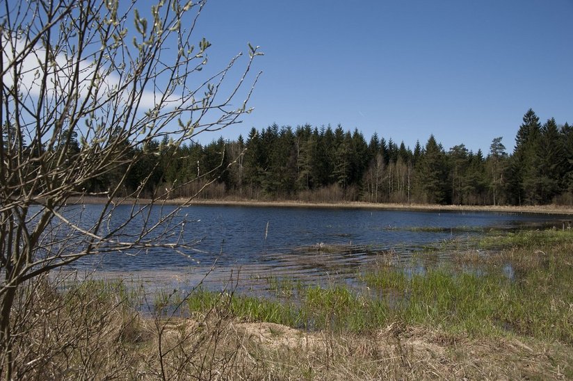 Teichwirtschaft hat in Österreich eine sehr lange Tradition. ©Eva Lechner/LK Niederösterreich