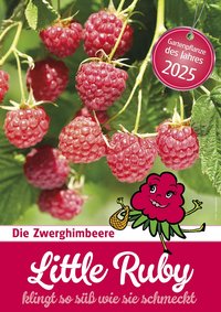 Zwerghimbeere Little Ruby