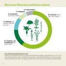 Infografik der Zahlen-Daten-Broschüre der Landwirtschaftskammer Niederösterreich zum Ackerbau