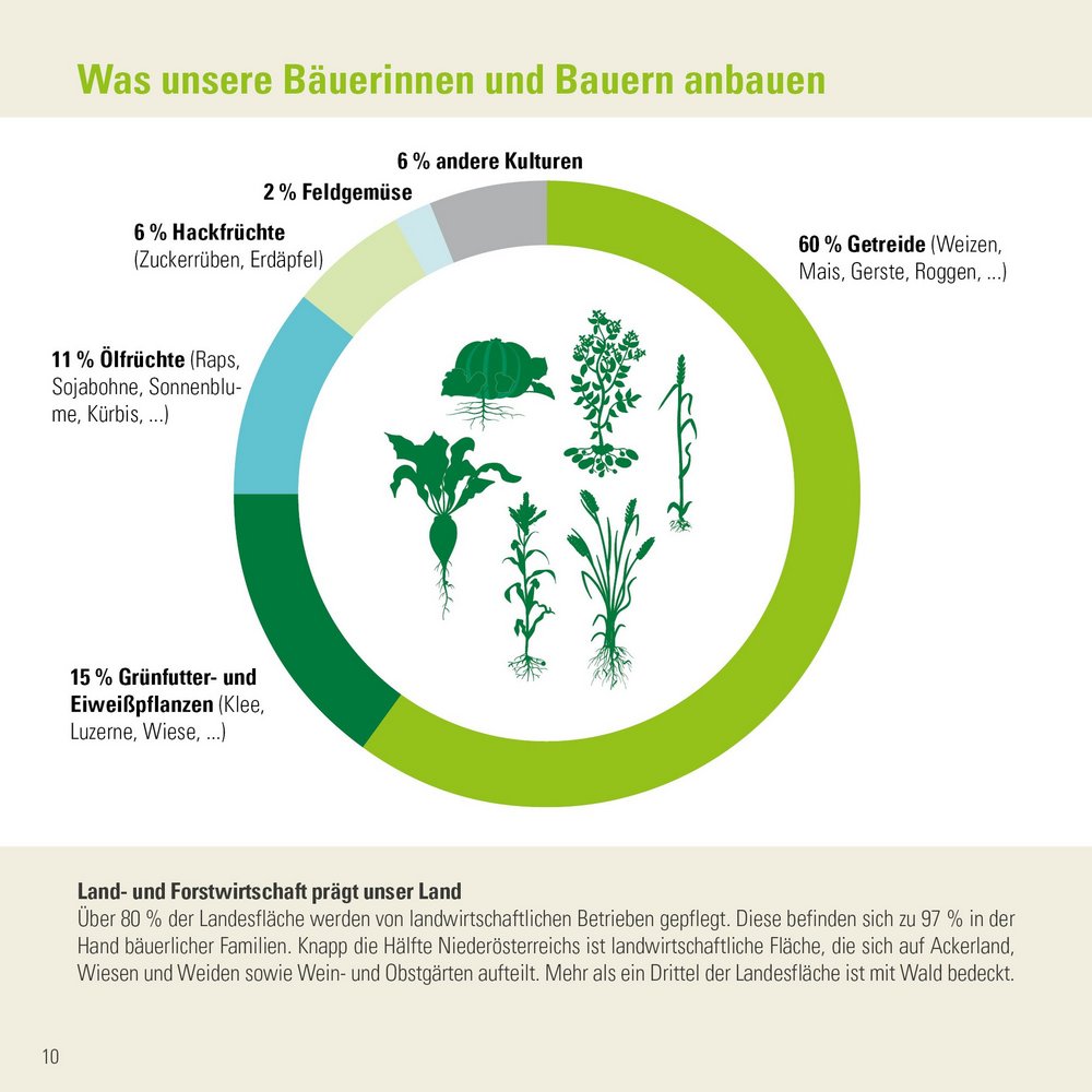 Infografik der Zahlen-Daten-Broschüre der Landwirtschaftskammer Niederösterreich zum Ackerbau