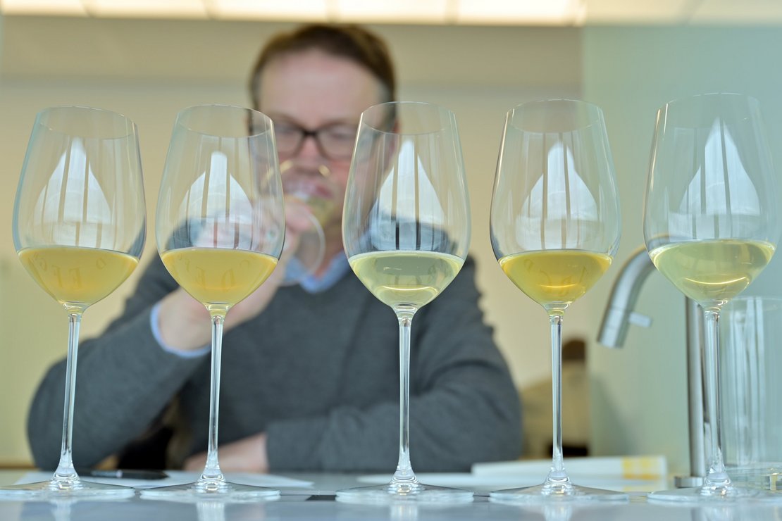 Natural und Orange Weinverkostung