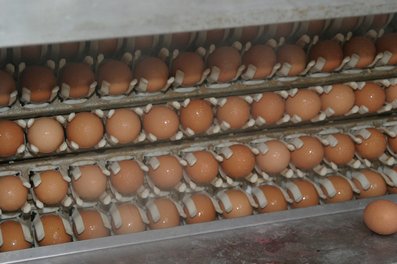 Eier auf Packstelle ©AMA Marketing