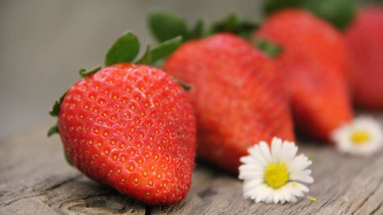 Erdbeeren in Reihe