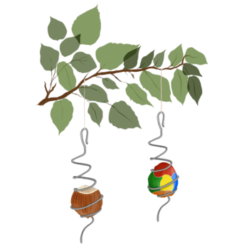 Windspinner auf einem Ast ©Eva Kail/LK Niederösterreich