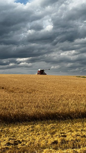 Mähdrescher am Feld mit Gewitterwolken