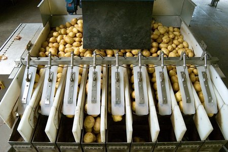 Erdäpfelabpackanlage ©AMA Marketing
