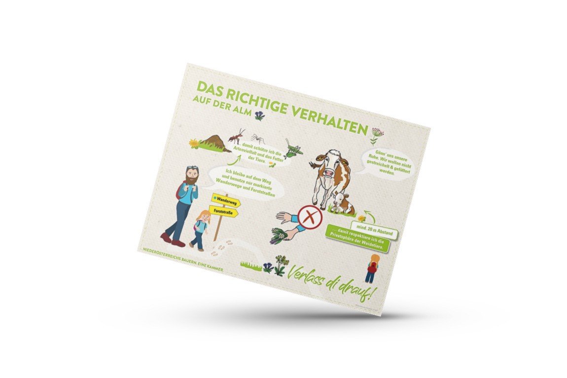 Infografik von Landwirtschaftskammer Niederösterreich zum richtigen Verhalten auf Alm und Weide