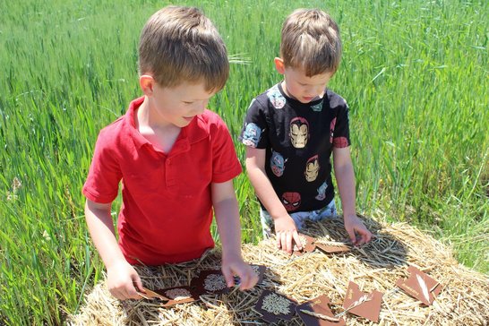 Emil und Simon lösen das Getreiderätsel