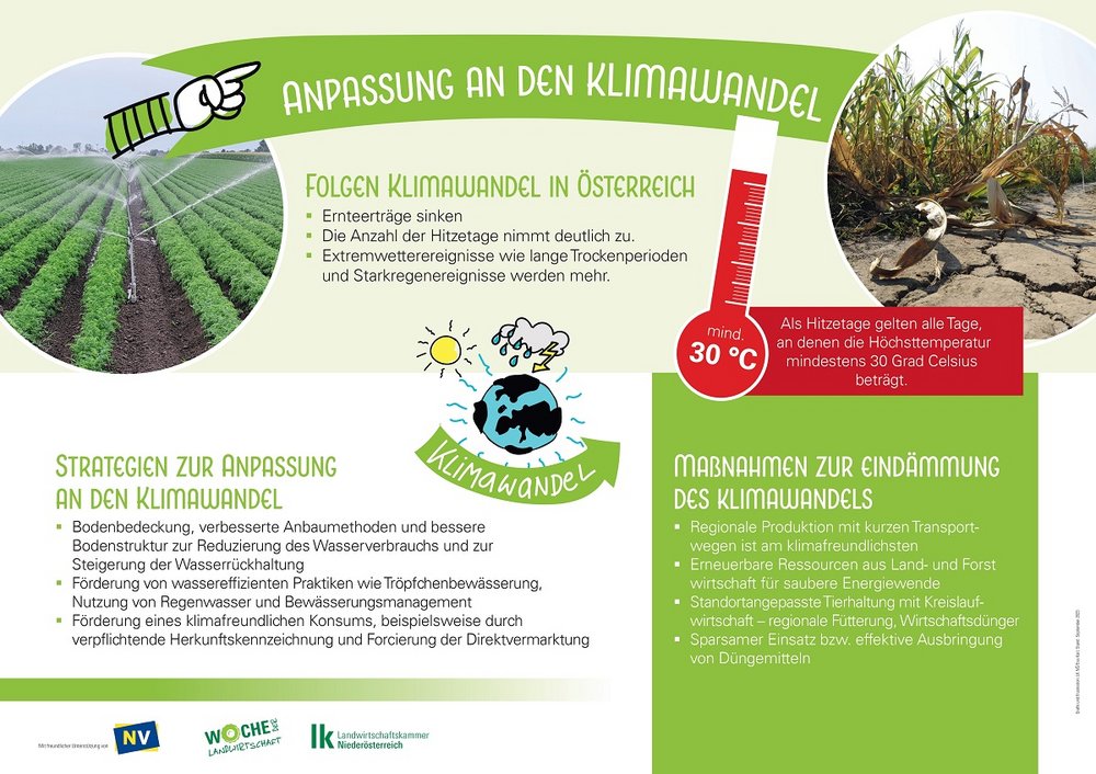 Factsheet Klimawandel – Anpassungsstrategien