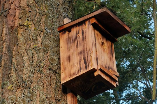 Nistkasten für Vögel in St.Pölten
