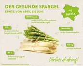 Infografik von Verlass di drauf der Landwirtschaftskammer Niederösterreich zu Spargelanbau in Niederösterreich