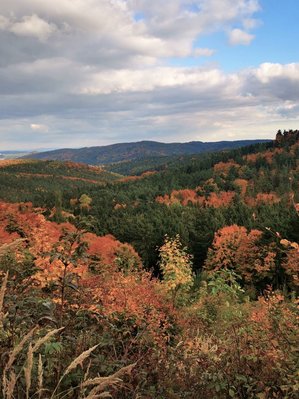 Blick über Niederösterreich Richtung Göttweig 