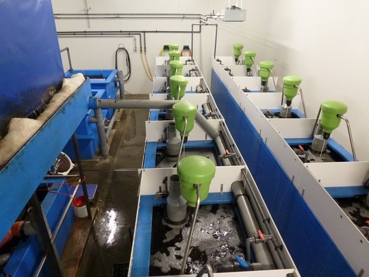 Warmwasserkreislaufanlage