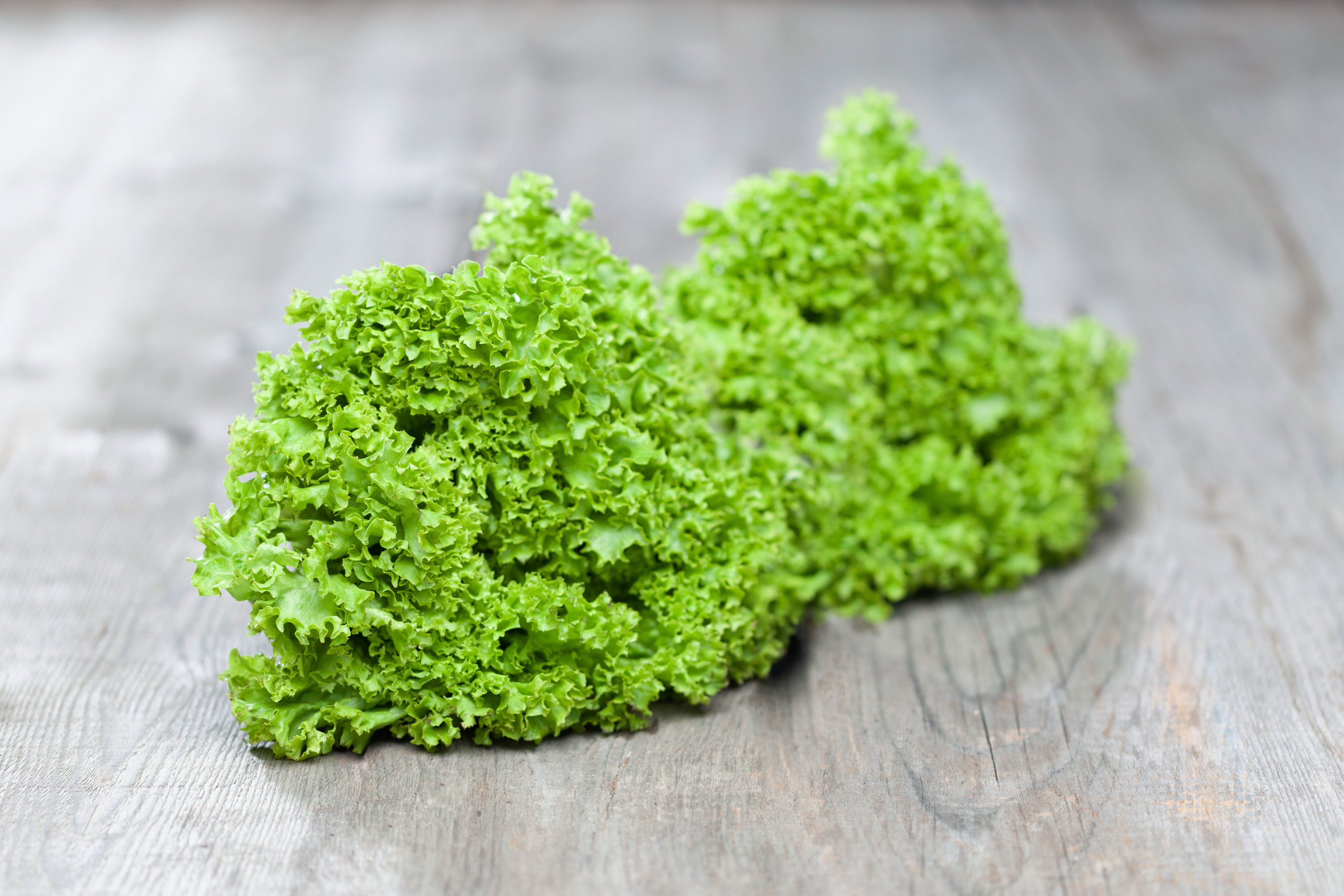 Zwei Salatköpfe liegen auf einem Holztisch