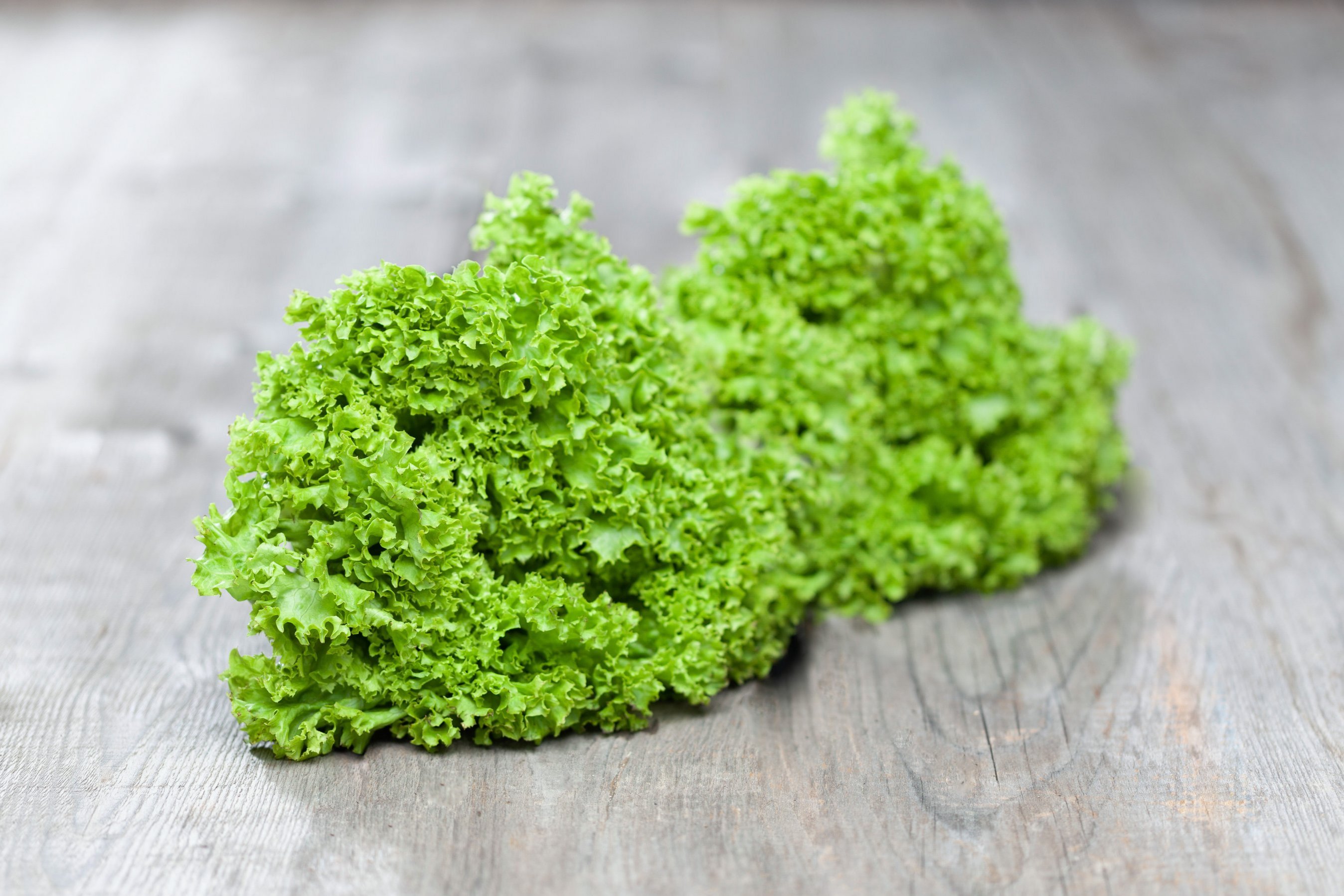 Zwei Salatköpfe liegen auf einem Holztisch