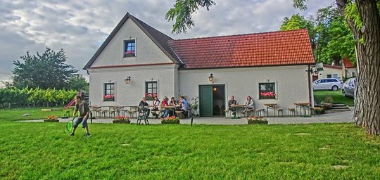 Top-Heuriger und Weingut Agnes Lehner-Minkowitsch Titelbild