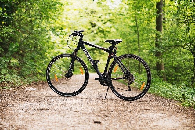 Mountainbike im Wald auf Forstweg ©pixabay