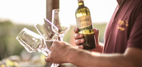 Winzerhof Oßberger, "Hugos Heuriger" Titelbild