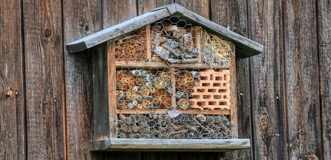 Auf diesem Bild siehst du ein Negativbeispiel eines Insektenhotels: Es werden ungeeignete Materialen verwendet und die Nisthilfe ist außerdem zu klein dimensioniert. ©pixabay