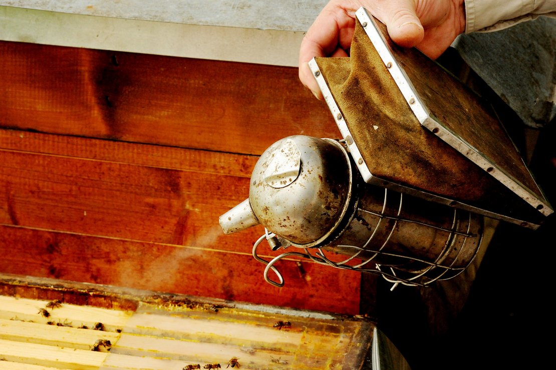 Imker nebel Bienenstock mit Rauch ein