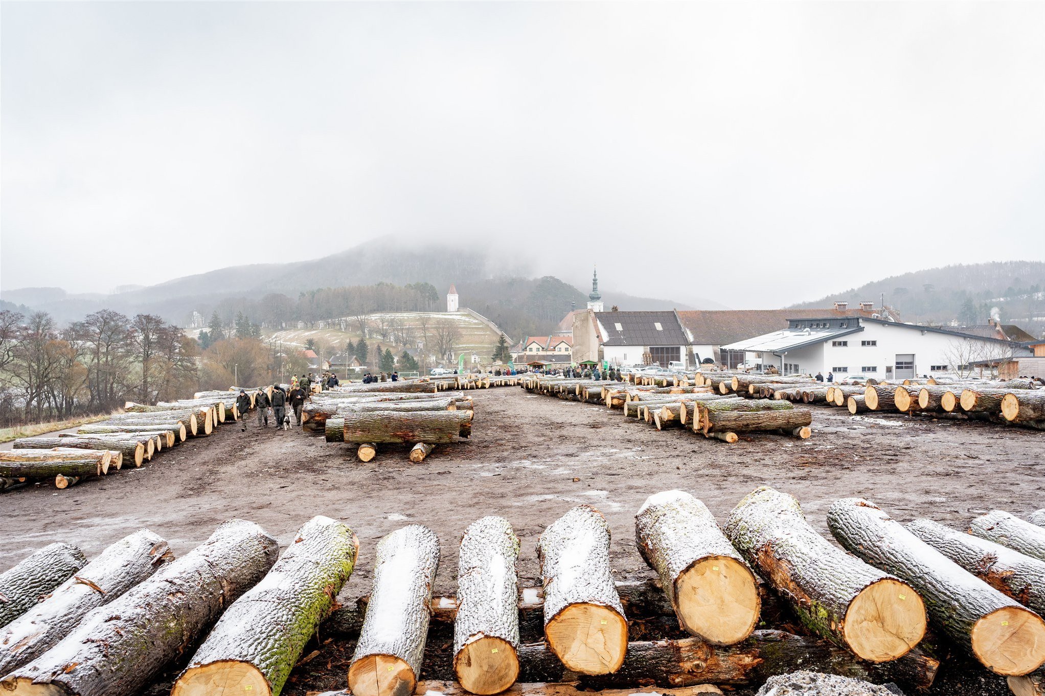 Laubholzversteigerung in Heiligenkreuz (NÖ)